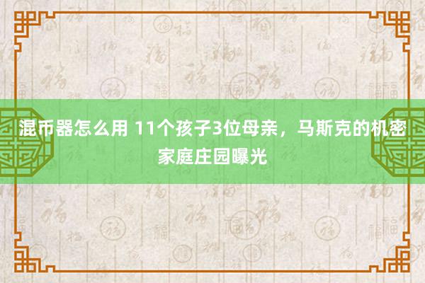 混币器怎么用 11个孩子3位母亲，马斯克的机密家庭庄园曝光